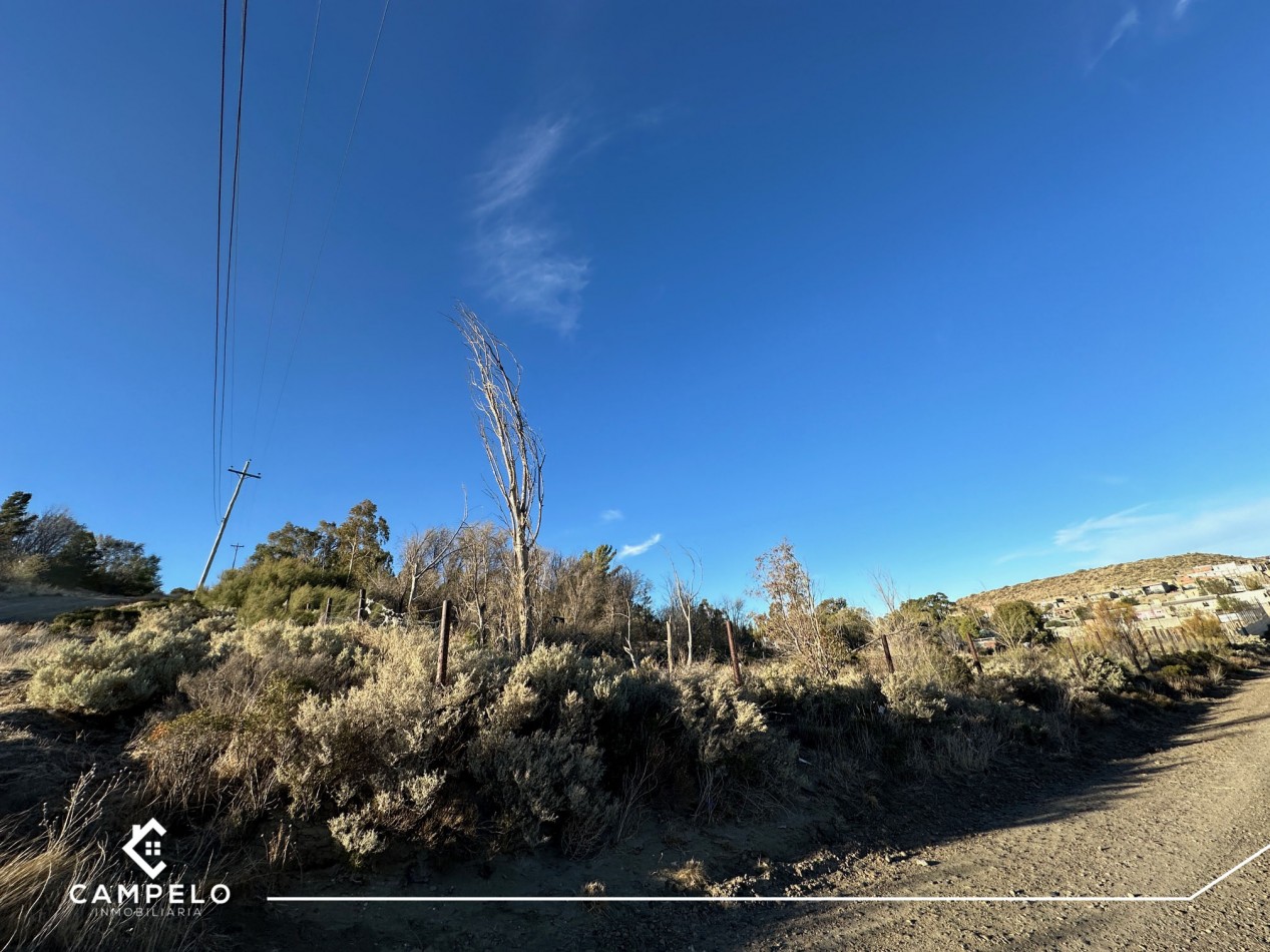 Terreno - Cordon Forestal